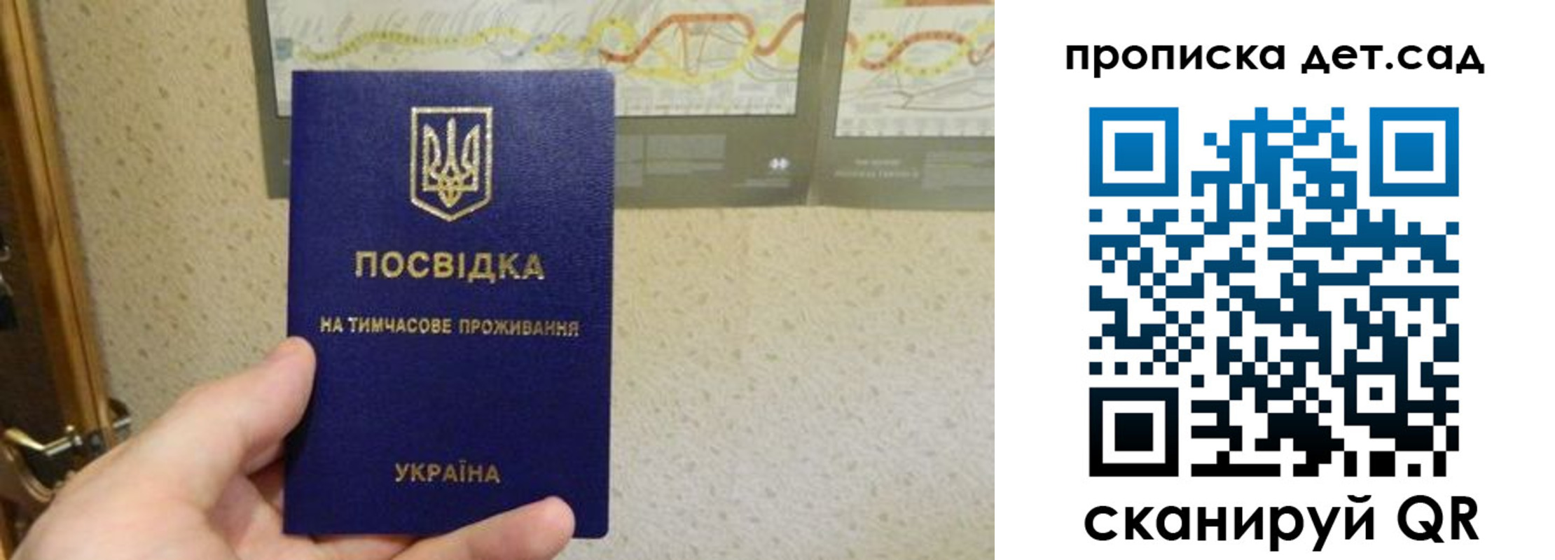 прописка для школы в Сольцах